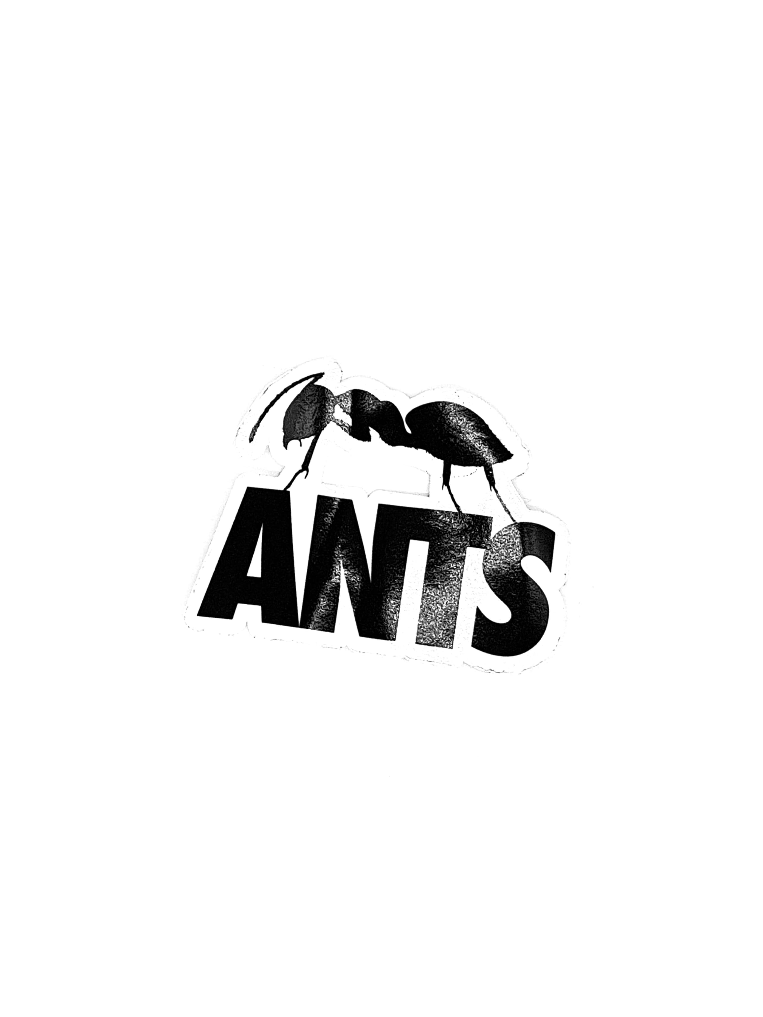 Ants