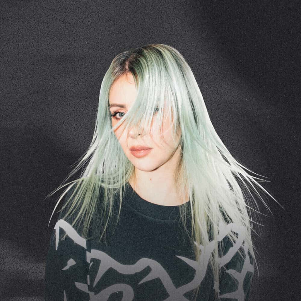 Cartel de Alison Wonderland